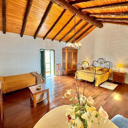 Guanche 'Casa Rural Canaria' Сан Мигел де Абона Екстериор снимка